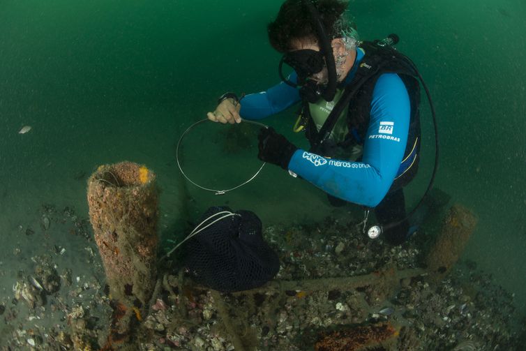 Prêmio Meros de Conservação da Biodiversidade Marinha