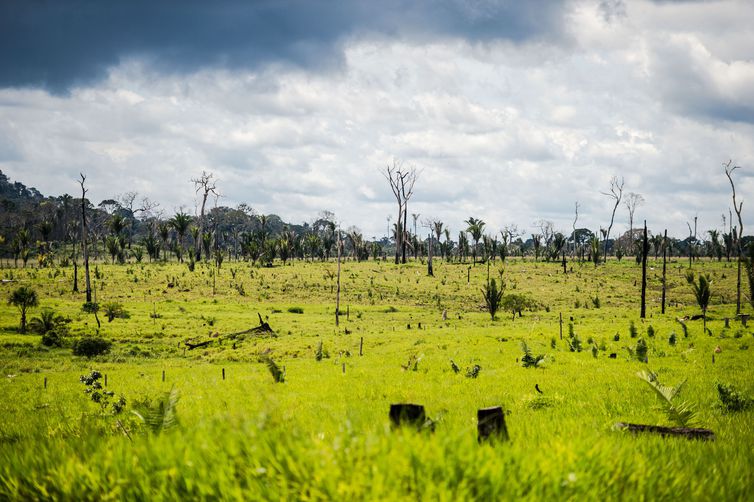 Colniza, MT, Brasil: Área degradada no município de Colniza, noroeste do Mato Grosso.  (Foto: Marcelo Camargo/Agência Brasil)