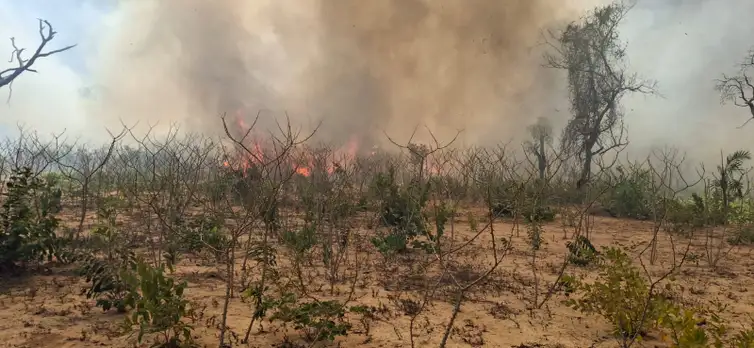 Povos indígenas de Mato Grosso sofrem com os incêndios florestais.